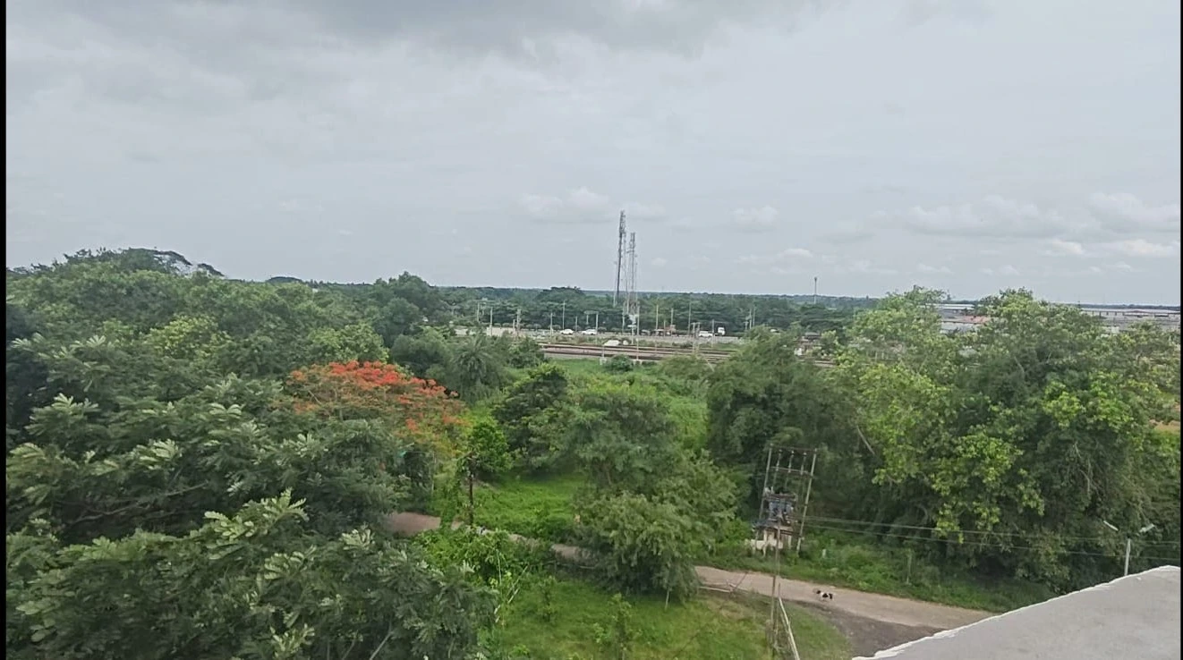 Pic of View from Rooftop of Samhita Wellness Retreat