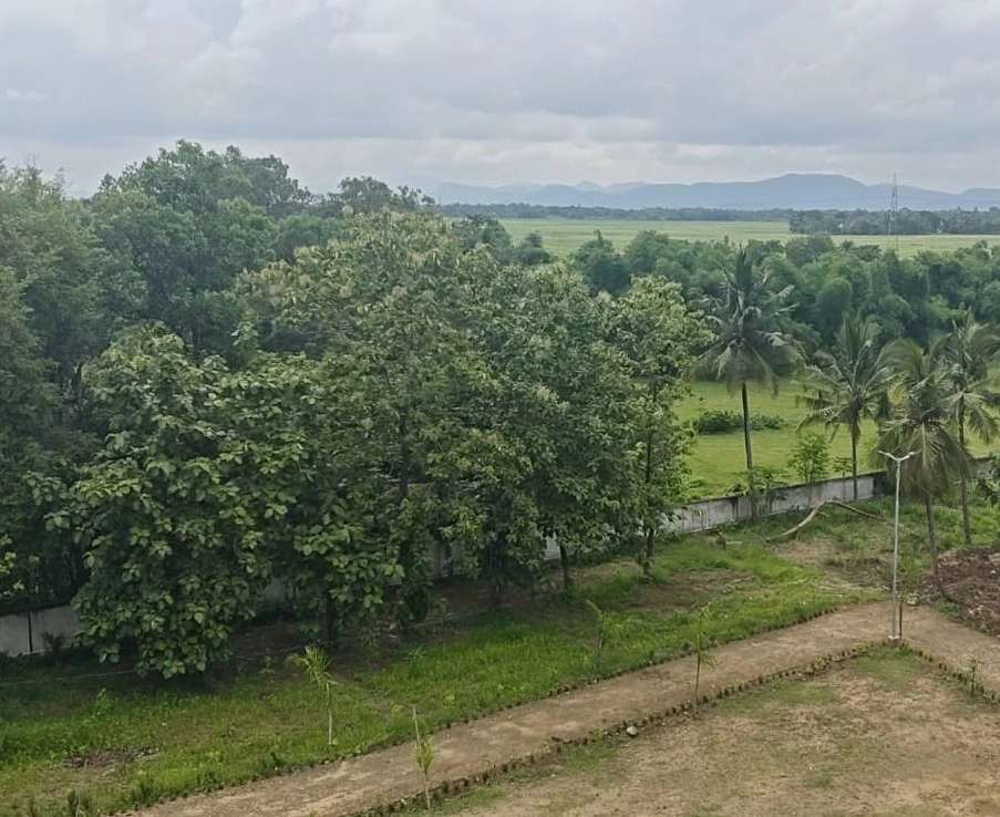 Another Pic of Campus of Samhita Wellness Retreat